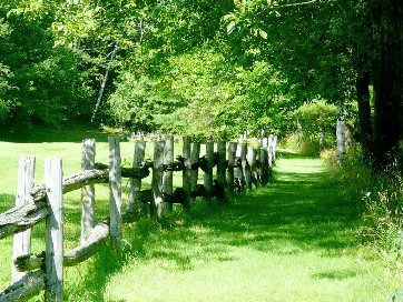 Railing fence along a sunlit country path with overhanging leafy tree branches