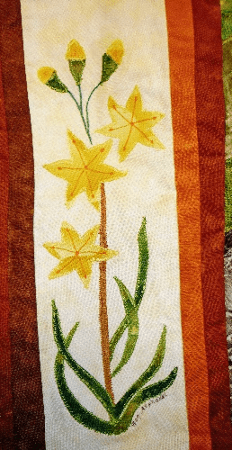 Quilted bog asphodel - Scottish wildflower