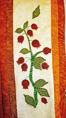 Quilted blaeberry plant - Scottish wildflower