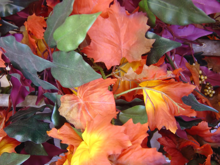 Multi-hued autumn leaves gathered nestled together