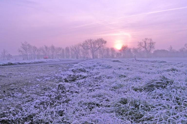 Muted pink sunrise over a frosted field of grass