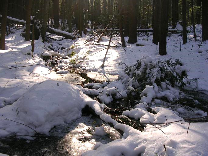 Sunshine on an icy winter stream running thru the woods