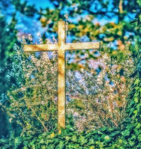 Weathered cross on a bed of ivy under a blue sky