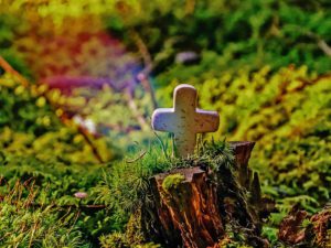 Rustic homemade cross nestled on a mossy tree stump