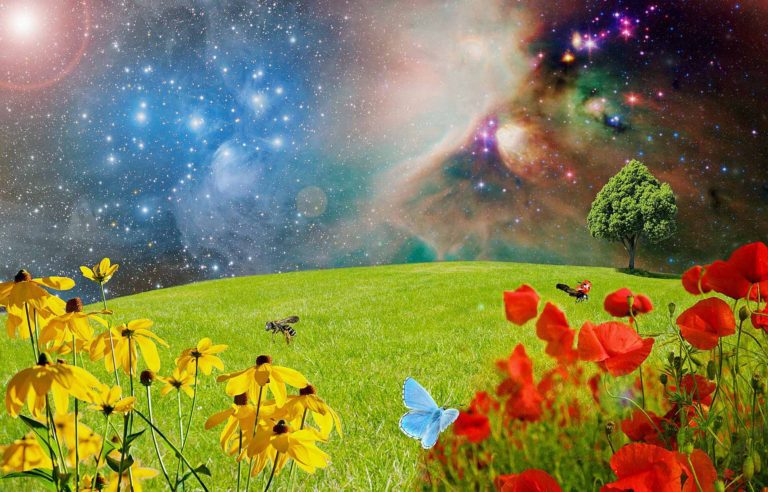 Creation of bright coloured flowers under a sky of stars and planets