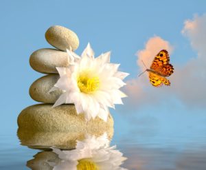 Cairn with a butterfly