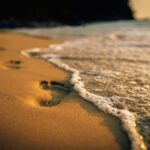 Footprints in the sand on the beach