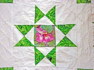 Ohio star quilt block with floral center