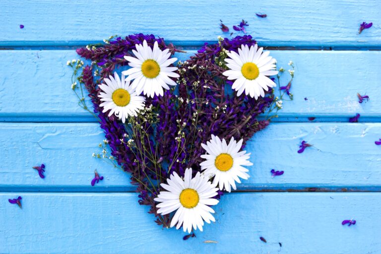 Purple floral heart with white daisies on a blue background.