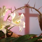 An Easter Lily against a background of the Cross and a crown of thorns