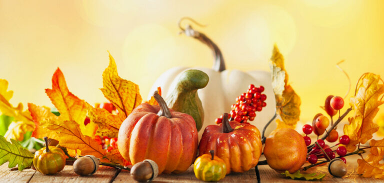 Harvest scene of pumpkins and gourds against a filtered hazy background of light.