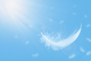 Abstract White Bird Feathers Floating in A Blue Sky. Softness of Feathers Falling in Heavenly.