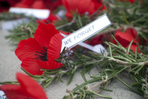 red poppies with rosemary and lest we forget words