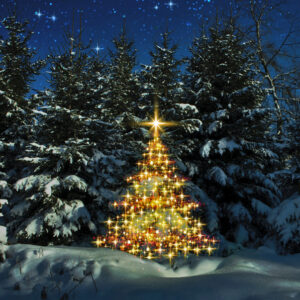 Christmas tree with lights in winter forest and stars sky.Christmas Card.