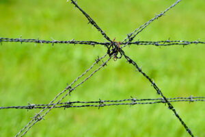 barbed wire fence on green grass blurred background, barbed wire on fence
