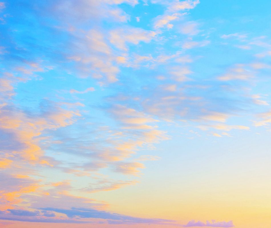 abstract beautiful peaceful summer sky background; sunrise new day and flying flock of birds