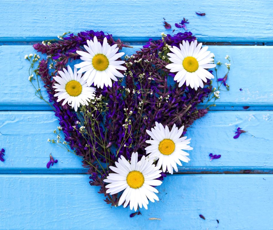 Purple floral heart with white daisies on a blue background.