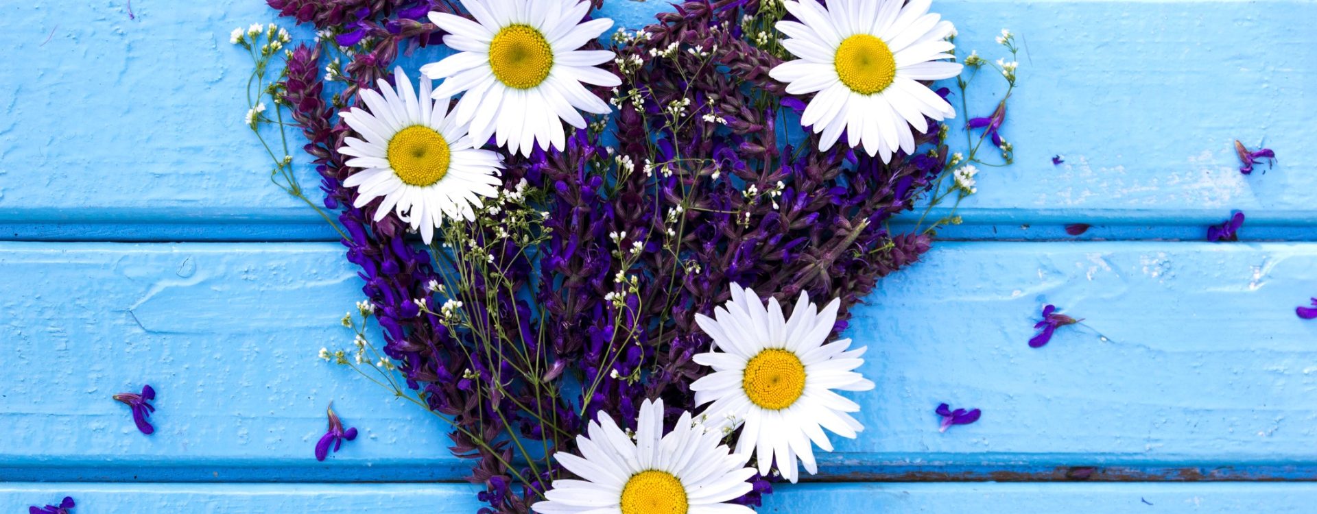 Purple floral heart with white daisies on a blue background.