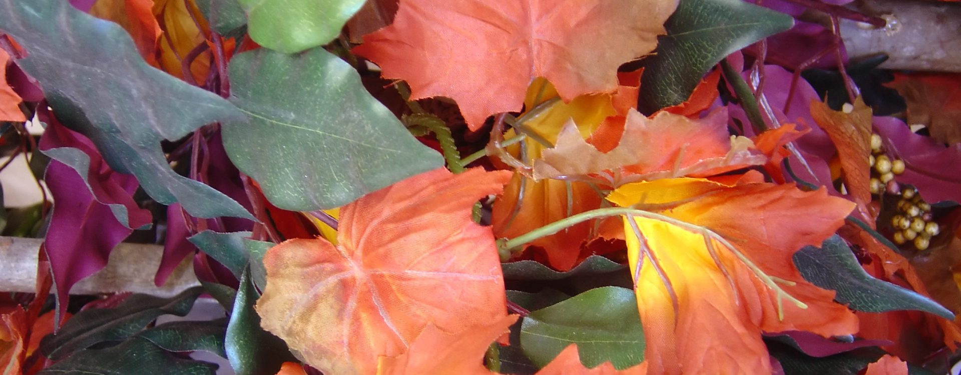 Multi-hued autumn leaves gathered nestled together