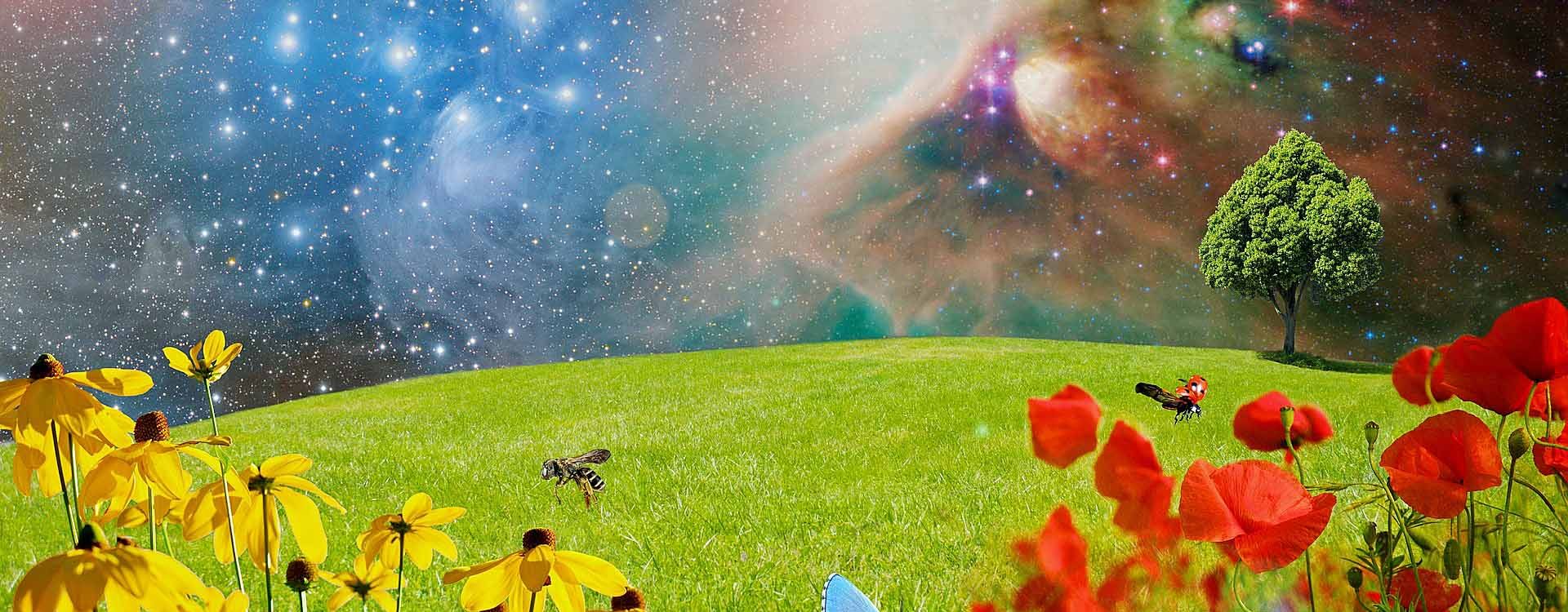 Creation of bright coloured flowers under a sky of stars and planets