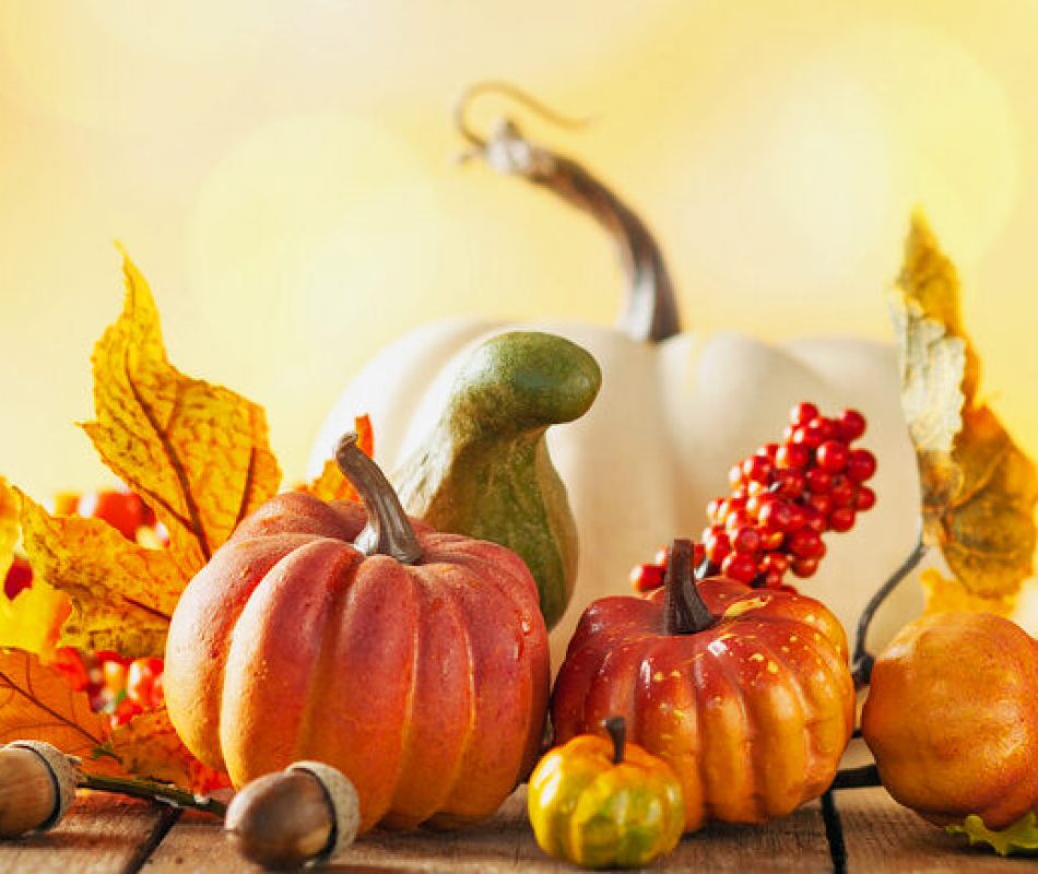 Harvest scene of pumpkins and gourds against a filtered hazy background of light.