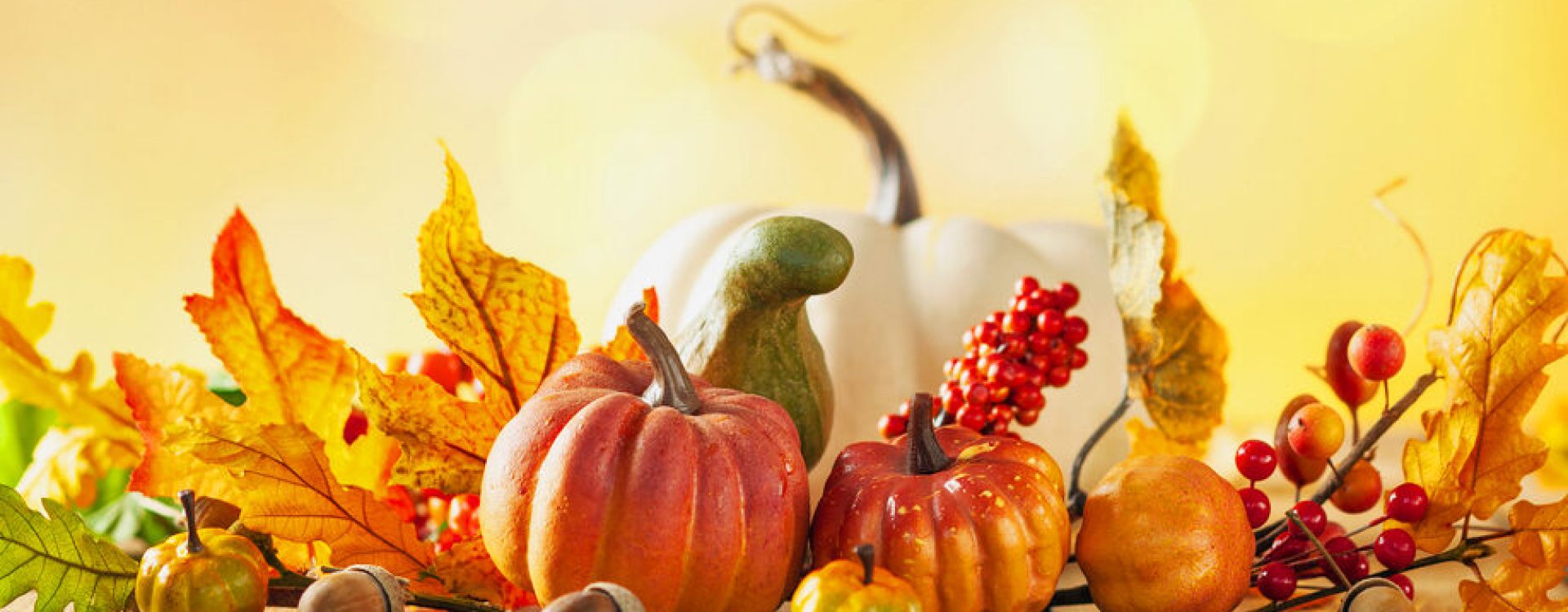 Harvest scene of pumpkins and gourds against a filtered hazy background of light.