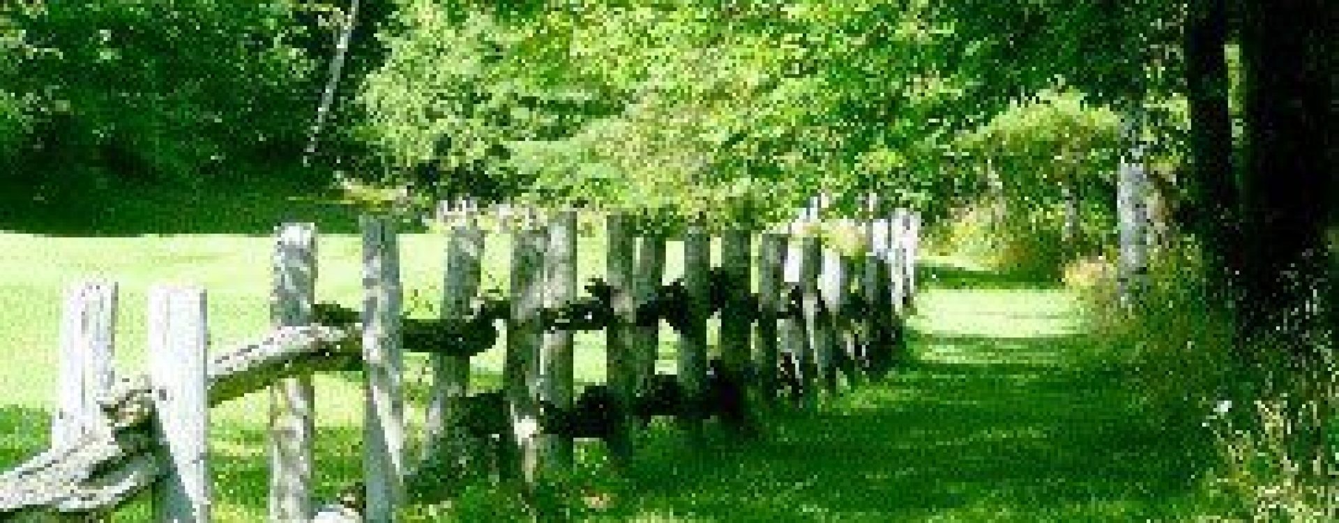 Railing fence along a sunlit country path with overhanging leafy tree branches