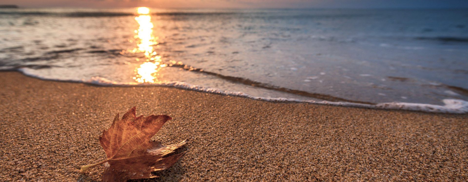 A single autumn-coloured leaf lying the beach where the water reflects the sunset